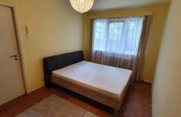 2 camere, spațios, pet friendly, zona strazii Albac