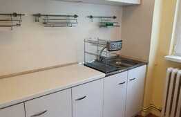 2 camere, spațios, pet friendly, zona strazii Albac