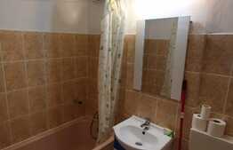 Apartament 1 camera, Pet Friendly, strada Observatorului