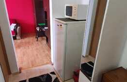 Apartament 1 camera, Pet Friendly, strada Observatorului