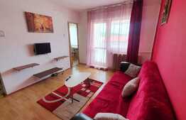Apartament 1 camera, Pet Friendly, strada Observatorului