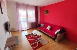 Apartament 1 camera, Pet Friendly, strada Observatorului