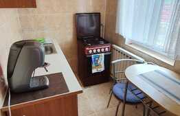 Apartament 1 camera, Pet Friendly, strada Observatorului