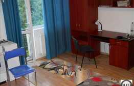 Garsoniera, 25mp, zona Piezisa