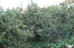 Garsoniera, 25mp, zona Piezisa