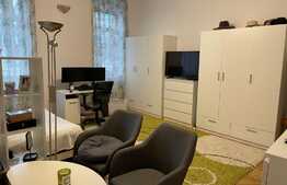 Investitie: Casa de vanzare langa Cluj Arena, 482 mp utili, 385 mp teren