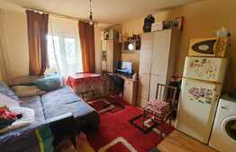 Garsoniera 22mp, etaj intermediar, zona Bulevardul muncii - Auchan Iris