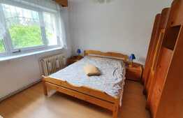 Apartament 2 camere, pet friendly, parcare, zona strazii Observatorului