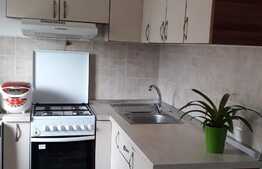 Apartament 1 camera in zona Dambul Rotund, zona Lombului!