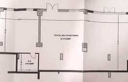 De inchiriat spatiu multifunctional, 185 mp, zona Leroy Merlin!