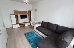 Apartament 1 camera, prima inchiriere, zona strazii Ion Mester