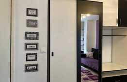 Apartament 2 camere, aer condiționat, zona străzii Arieșului