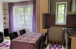 Apartament 2 camere, aer condiționat, zona străzii Arieșului
