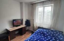 Oportunitate de investitie! Posibilitate preluare chiriasi, zona Florilor