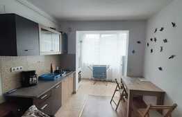 Oportunitate de investitie! Posibilitate preluare chiriasi, zona Florilor