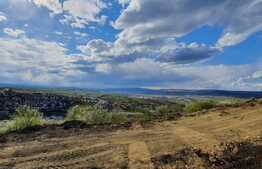 Casa cuplata,114 mp utili, 250 mp teren, ansamblu de case premium