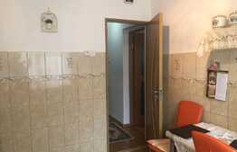 Garsoniera decomanada si luminoasa in tractorul 