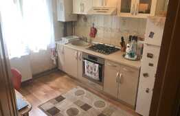 Garsoniera decomanada si luminoasa in tractorul 