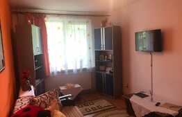 Garsoniera decomanada si luminoasa in tractorul 