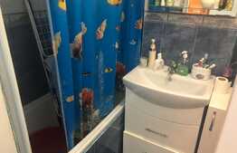 Garsoniera decomanada si luminoasa in tractorul 