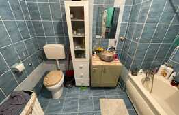 Apartament 2 camere, 40 mp, la cheie, zona Panemar