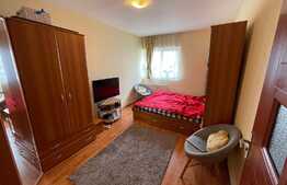 Apartament 2 camere, 40 mp, la cheie, zona Panemar