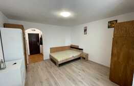 Apartament de 1 camera, 30mp, semidecomandat, zona Bucegi