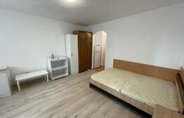 Apartament de 1 camera, 30mp, semidecomandat, zona Bucegi