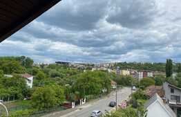 Apartament 2 camere, aer condiționat, balcon, zona străzii Corneliu Coposu