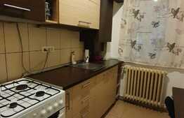 Apartament 2 camere, pet friendly, zona strazii Unirii