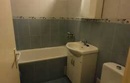 Apartament 2 camere, pet friendly, zona strazii Unirii