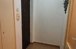 Apartament 2 camere, pet friendly, zona strazii Unirii