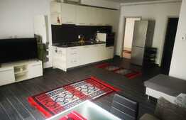 Apartament 2 camere, 55 mp, parcare, pet friendly, zona strazii Mircea Eliade