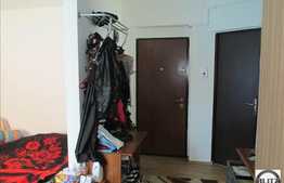 Apartament 1 camera, 33 mp utili, balcon, zona Muzeul Apei!