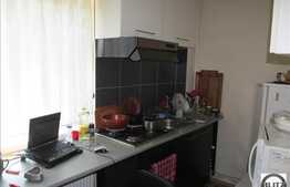 Apartament 1 camera, 33 mp utili, balcon, zona Muzeul Apei!