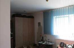 Apartament 1 camera, 33 mp utili, balcon, zona Muzeul Apei!