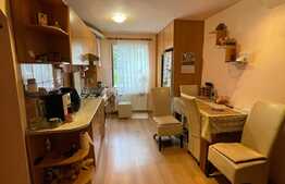 Apartament 3 camere decomandate, 64 mp utili, zona strazii Negoiu 