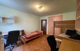 Apartament de 2 camere, decomandat, 50 mp, Pet Friendly, zona Centrala