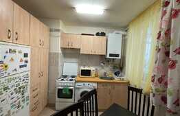 Apartament de 2 camere, decomandat, 50 mp, Pet Friendly, zona Centrala