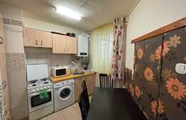 Apartament de 2 camere, decomandat, 50 mp, Pet Friendly, zona Centrala