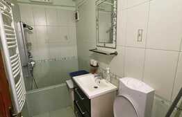 Apartament de 2 camere, decomandat, 50 mp, Pet Friendly, zona Centrala