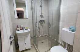 Apartament 4 camere, 86 mp, garaj, recent renovat, zona strazii Cojocnei