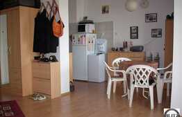 Apartament cu o camera in Zorilor!