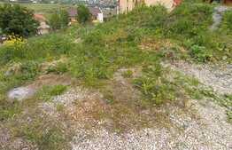 Oportunitate! Teren intravilan Borhanci, 1050 mp, zona Calea Borhanciului!