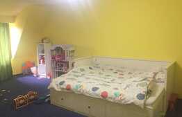 Exclusiv prin Blitz! Casa spatioasa de vanzare, 300 mp, pod mansardabil, panorama si piscina!