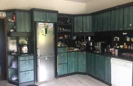 Exclusiv prin Blitz! Casa spatioasa de vanzare, 300 mp, pod mansardabil, panorama si piscina!