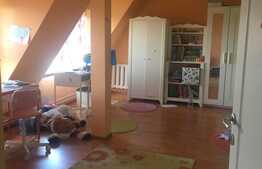 Exclusiv prin Blitz! Casa spatioasa de vanzare, 300 mp, pod mansardabil, panorama si piscina!