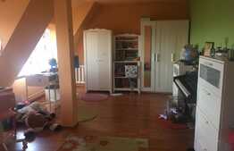 Exclusiv prin Blitz! Casa spatioasa de vanzare, 300 mp, pod mansardabil, panorama si piscina!