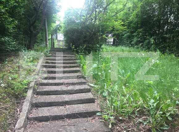 Casa de vânzare 7 camere Gruia - 66083CV | BLITZ Cluj-Napoca | Poza2