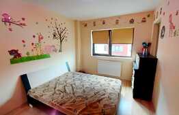 Apartament 2 camere, zona strazii Stejarului
